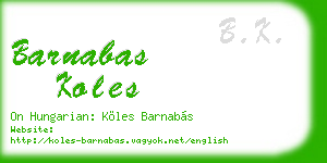 barnabas koles business card
